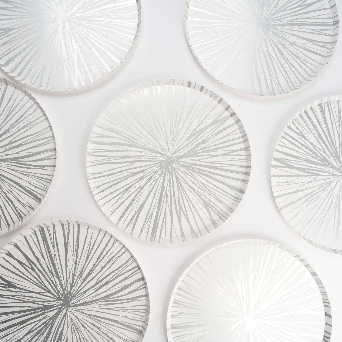 Silver Radiance Dinner Plate